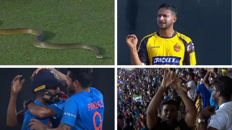 Snake stops play in Lanka Premier League, Karthik comes up with epic dig at Bangladesh Snake stops play in Lanka Premier League, Dinesh Karthik comes up with epic reaction
