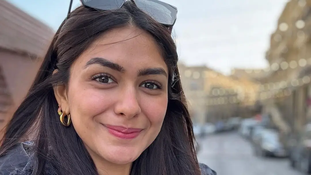 Description of the pic