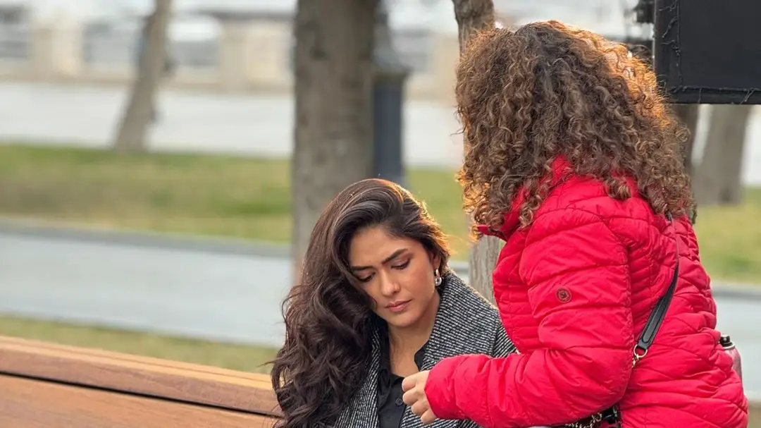 Description of the pic