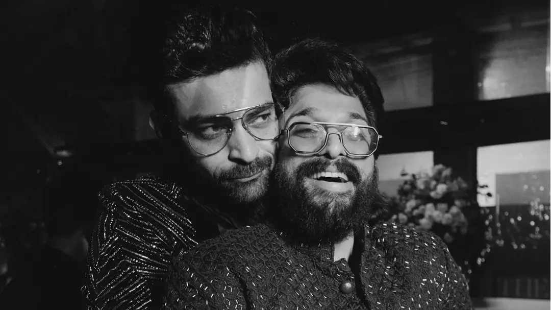 Description of the pic