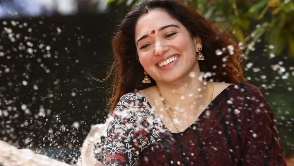 Description of the pic