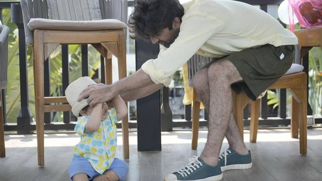 Description of the pic