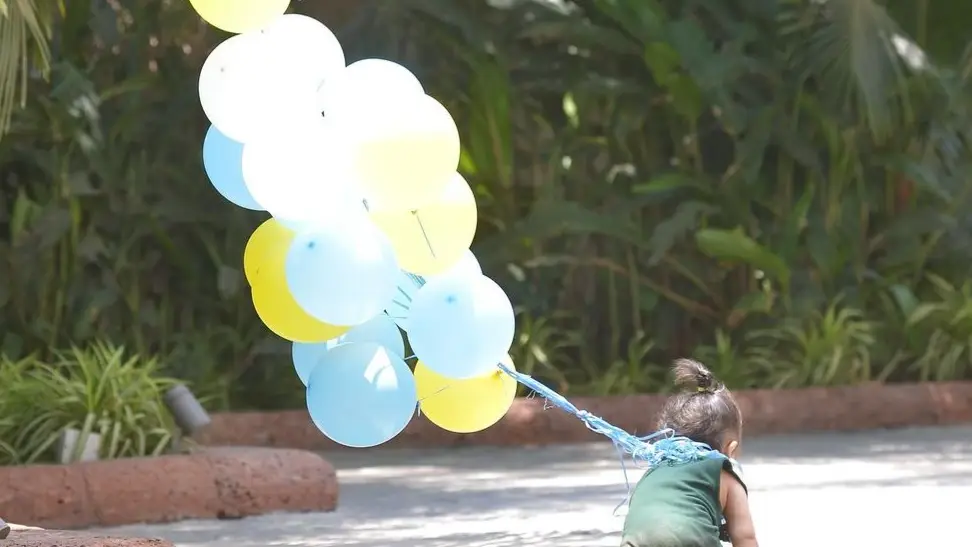 Description of the pic