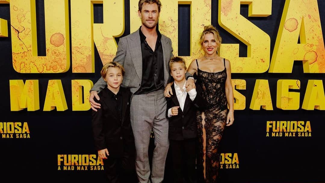 Description of the pic