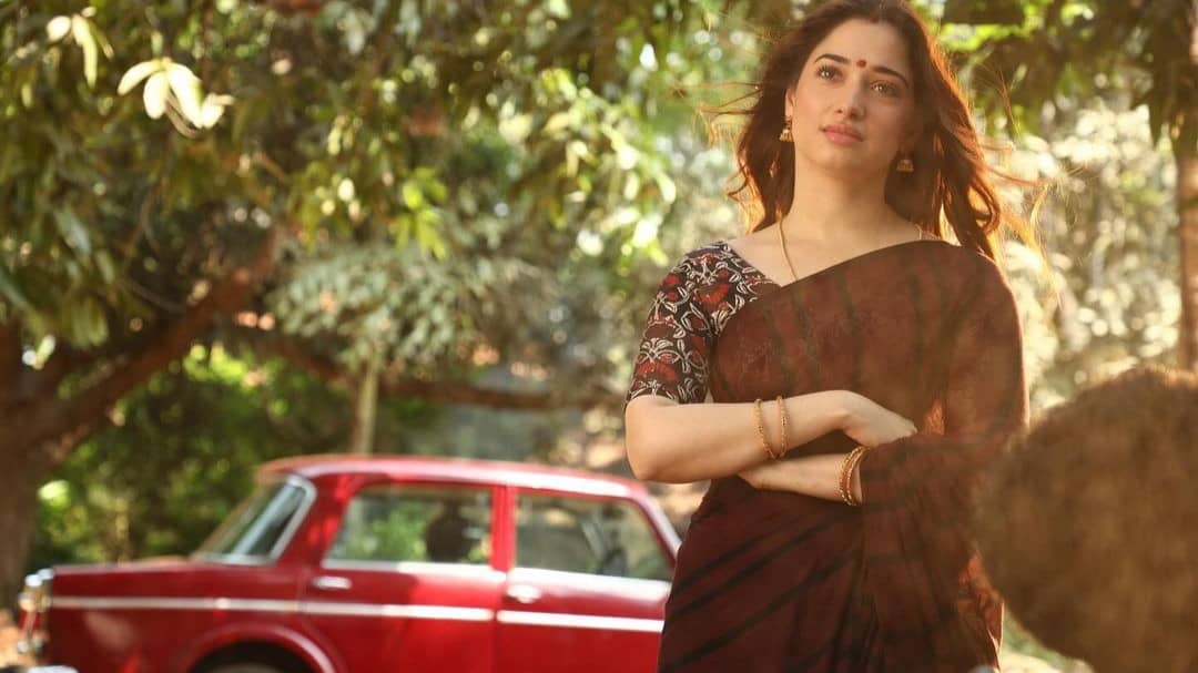 Description of the pic