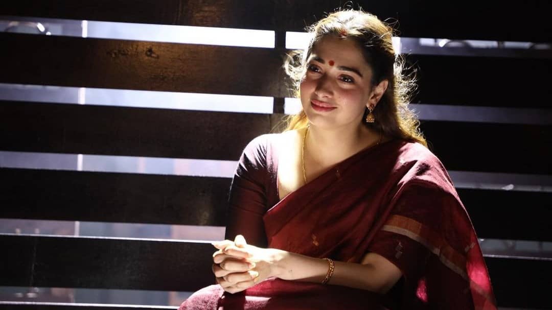 Description of the pic