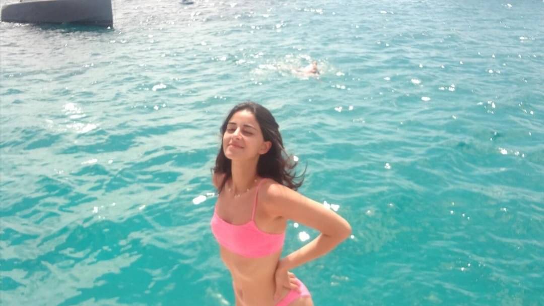 Description of the pic