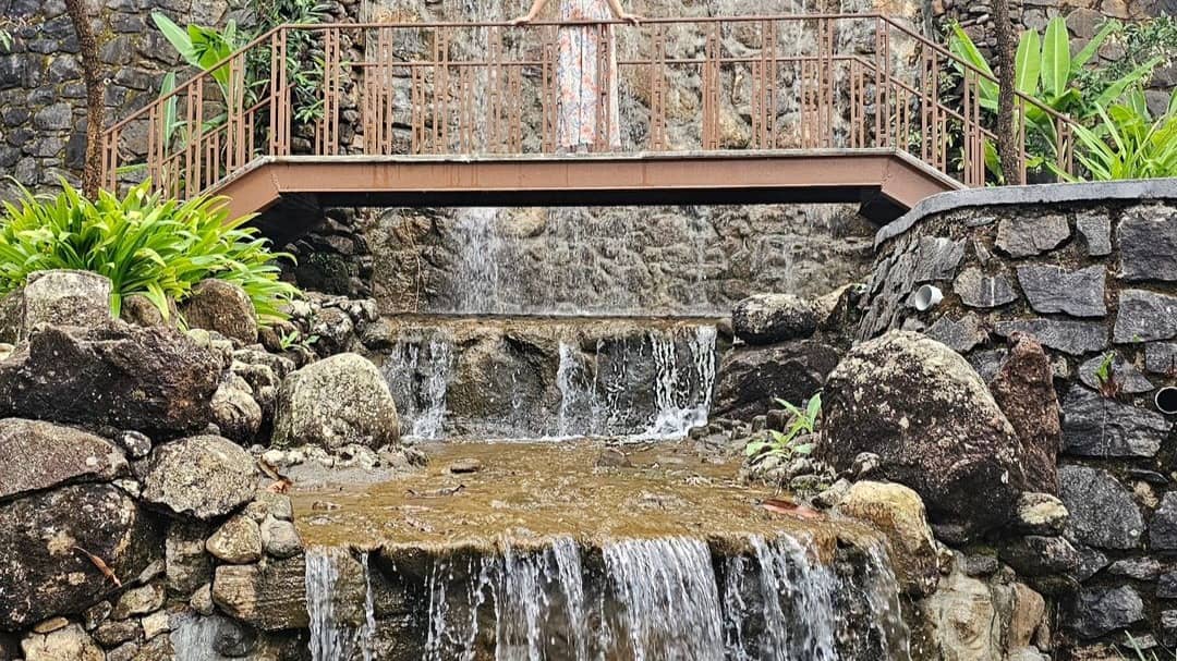 Description of the pic