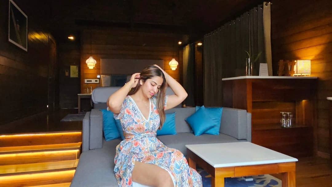 Description of the pic