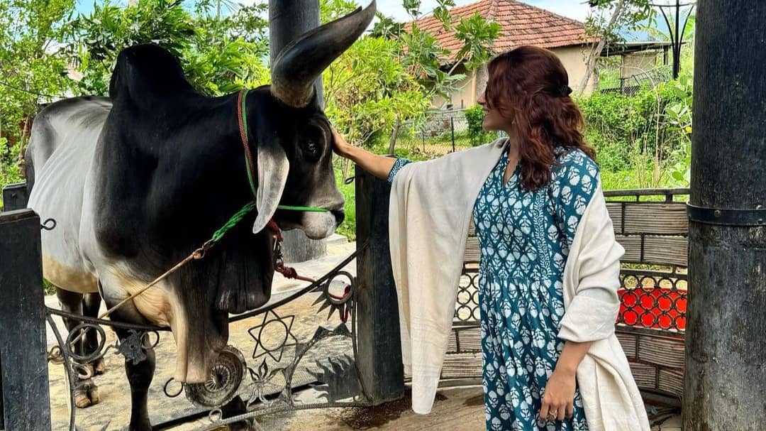 Description of the pic