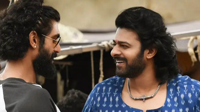 Description of the pic