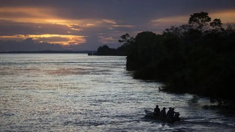 European banks financing Amazon rainforest oil trade despite climate pledge: Reports Brazil