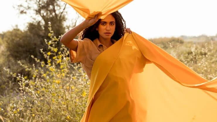 Description of the pic