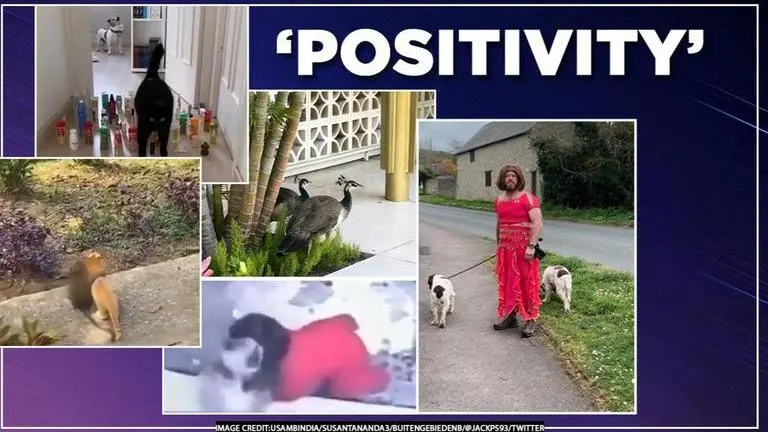 Good News: Five stories to lighten up the mood amid coronavirus pandemic Good news: