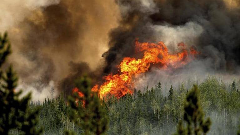 City empties as thousands flee wildfire burning near capital of Canada ...
