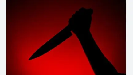 UP: Man Fatally Stabs Brother Over Property Dispute, Held