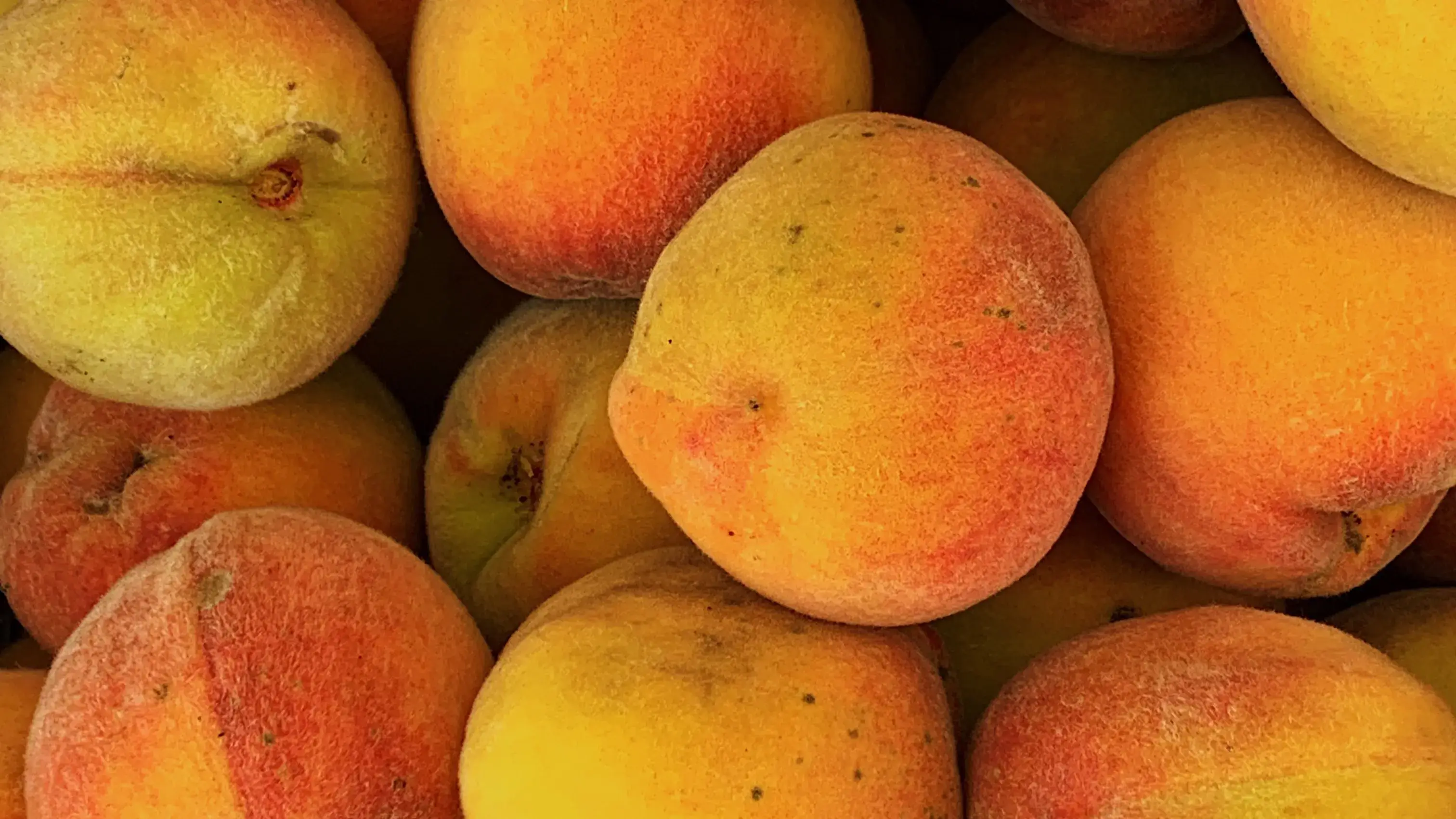 Fibrerich, immunitybooster and more these reasons make peach a