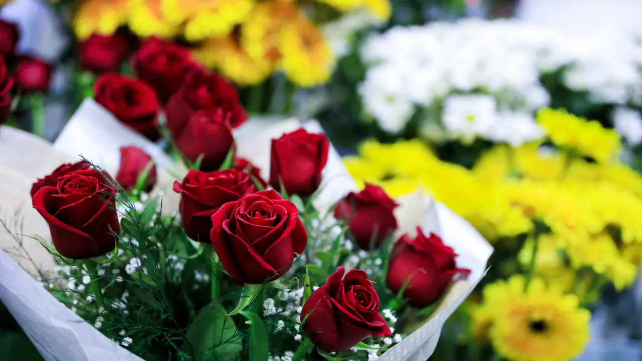 Rose Day 2023 Wishes