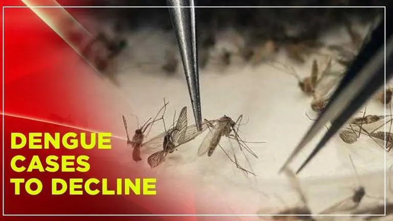 Goa: Decline in cases of dengue expected as the end of monsoon nears Goa