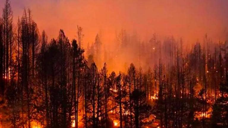 Canada's Alberta province declares state of emergency as deadly ...