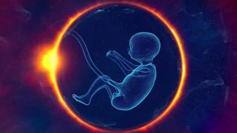 Researchers create world's 1st 'synthetic' embryo with brain, beating heart Synthetic embryo