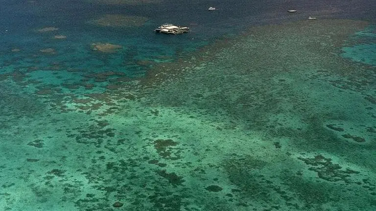Scientists report worst ever coral bleaching on record