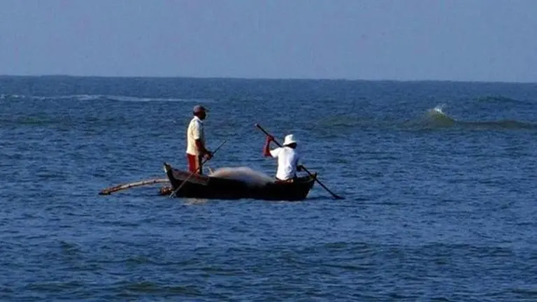 9 Indian fishermen flee from Yemen by sea to escape sponsor, arrive safely in Kochi fishermen