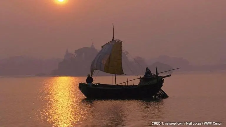 Bangladesh: Carcass of freshwater Ganges dolphin found in Halda river sanctuary Carcass