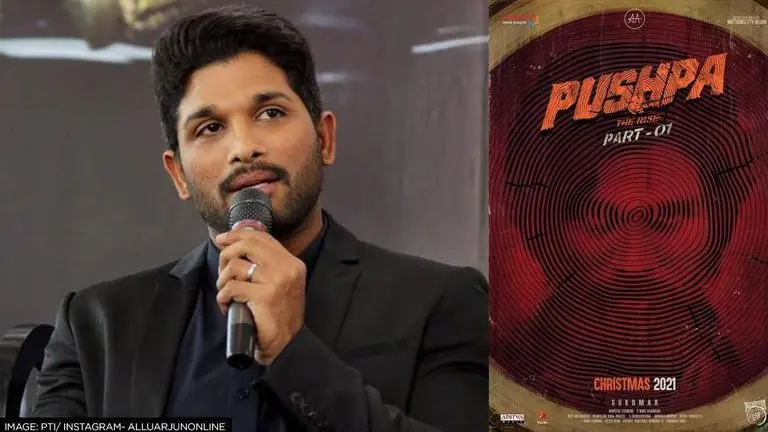 'Pushpa: The Rise': Allu Arjun-starrer's Hindi version of gangster drama rakes in 100 cr Allu Arjun, Pushpa: The Rise, Pushpa release date, Pushpa Hindi box office collection