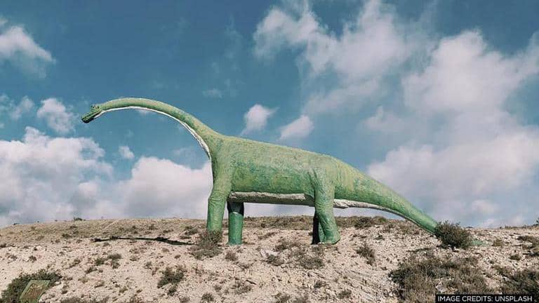 Two new Dinosaur species discovered in northwestern region of China ...