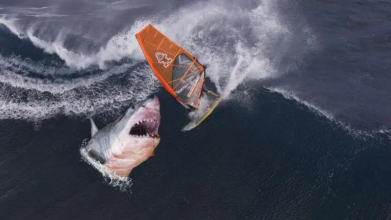 Australia: 23-year-old killed by shark while swimming near the Great Barrier Reef Australia: 23-year-old swimmer killed by shark near the Great Barrier Reef