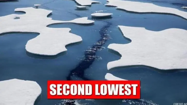 Arctic Ocean ice melts to its second lowest level on record this summer Arctic Ocean