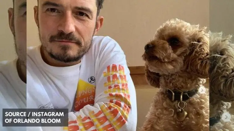 Orlando Bloom's dog passes away, actor gets his name tattooed as tribute Orlando Bloom