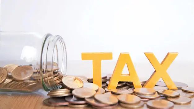 Interested in tax savings? Explore investment schemes that can help Tax-savvy investing
