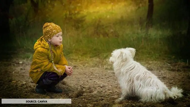 world kindness day 2020