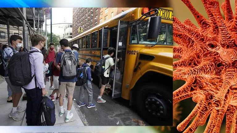 US: Vulnerable students suffer most due to disruptions in school amid pandemic US