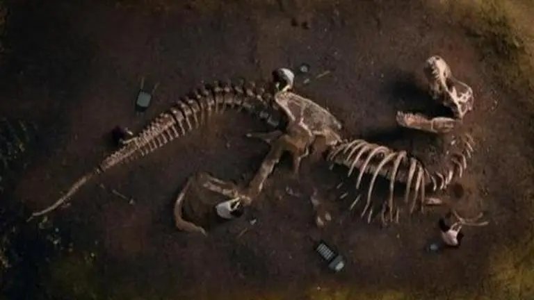 Oldest fossils of a plant-eating dinosaur discovered in Rajasthan fossil