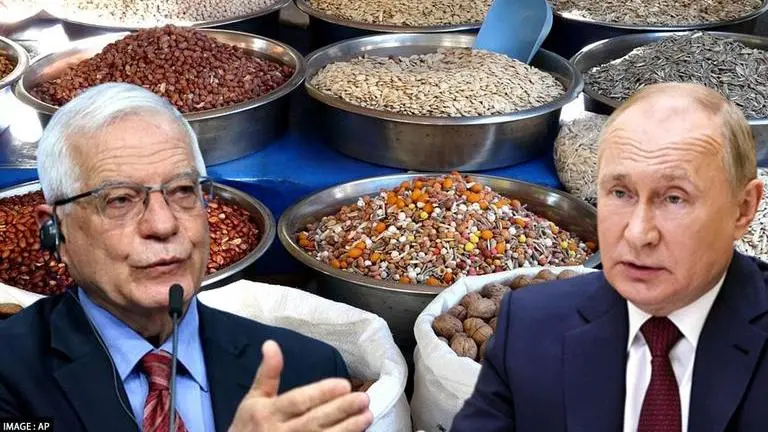Russian offensive in Ukraine 'threatens global wave of hunger': EU's Josep Borrell EU