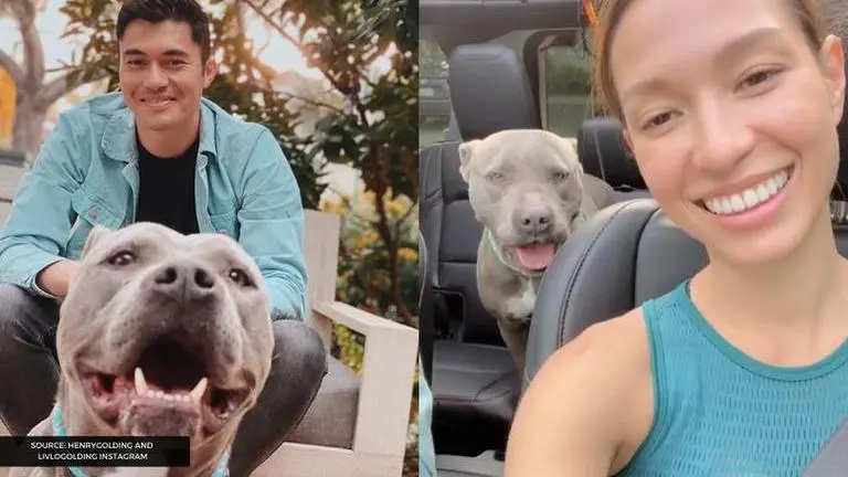 Henry Golding and Liv Lo Golding foster a dog amid COVID-19 pandemic Henry Golding