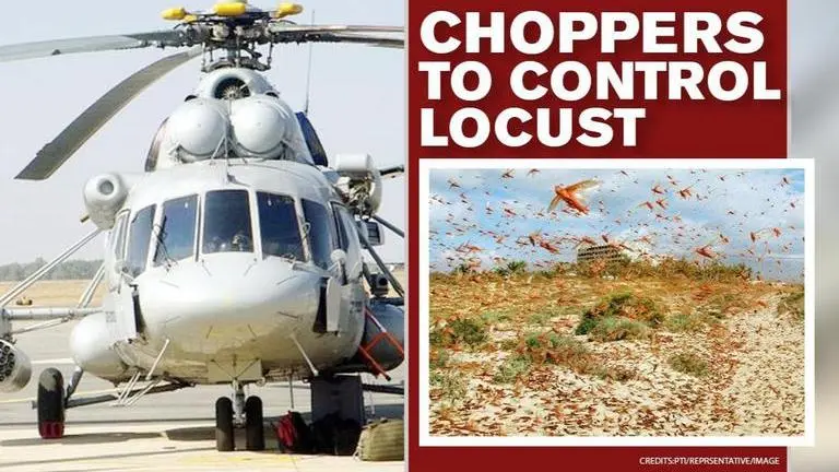 IAF develops pesticide spraying tool for Mi-17 choppers to combat locust invasion Locust attack