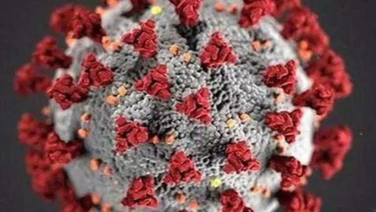 Uttar Pradesh reports record COVID-19 cases