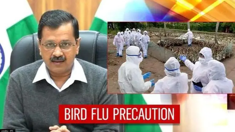 Bird Flu outbreak : Delhi bans import of live birds, shuts Ghazipur poultry market Bird Flu