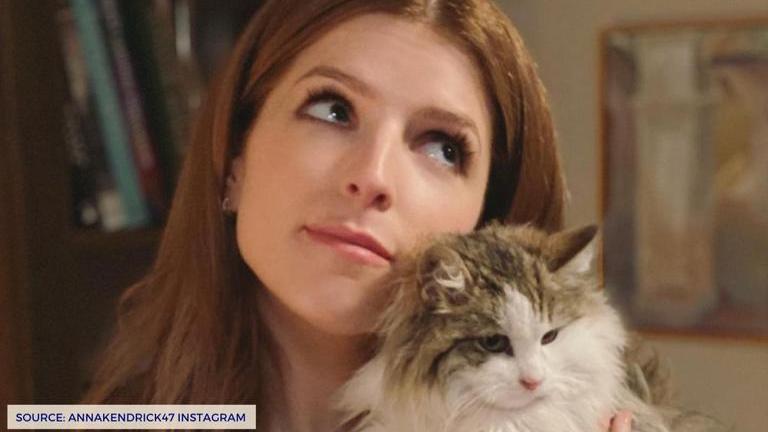 Anna Kendrick thanks hacker for reconnecting her with a school fr ...