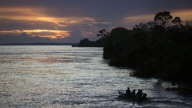 European investors warn Brazil ambassadors about rising Amazon deforestation