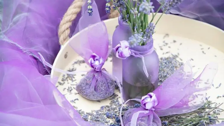 5 DIY air fresheners that will make your home smell good Air Fresheners