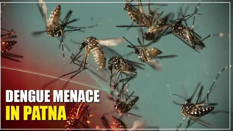 Dengue stings two Patna MLAs and fmr Union Min; 1500 cases reported Dengue