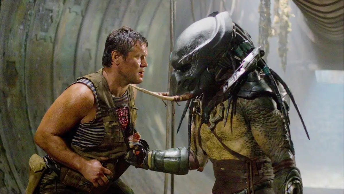 Description of the pic