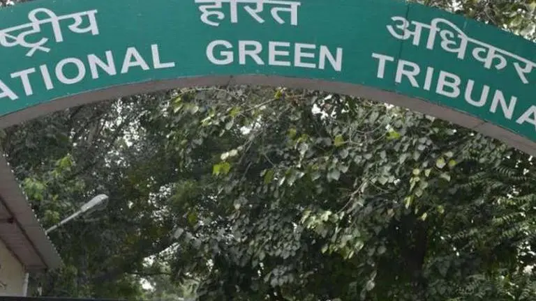 NGT seeks report on alleged tree felling by Reliance Jio in Kurnool NGT