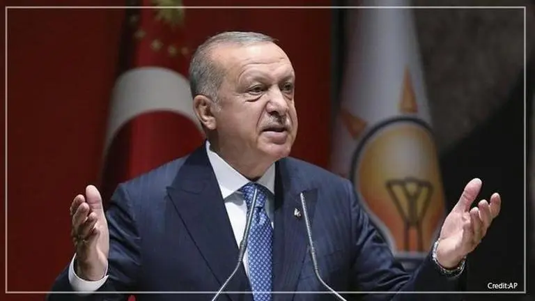 EU must support Turkey in Syria if it wants migrant solution: Turkish President EU