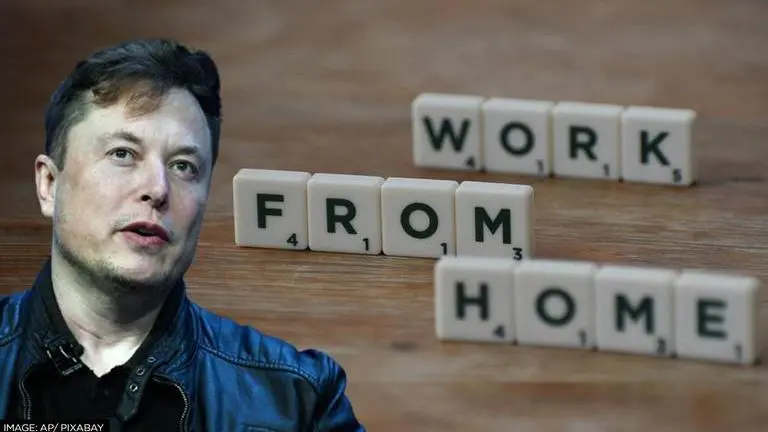 Elon Musk warns Tesla employees working remotely to return to office or 'get out' Elon Musk